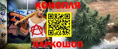 прущие крисы Конаково