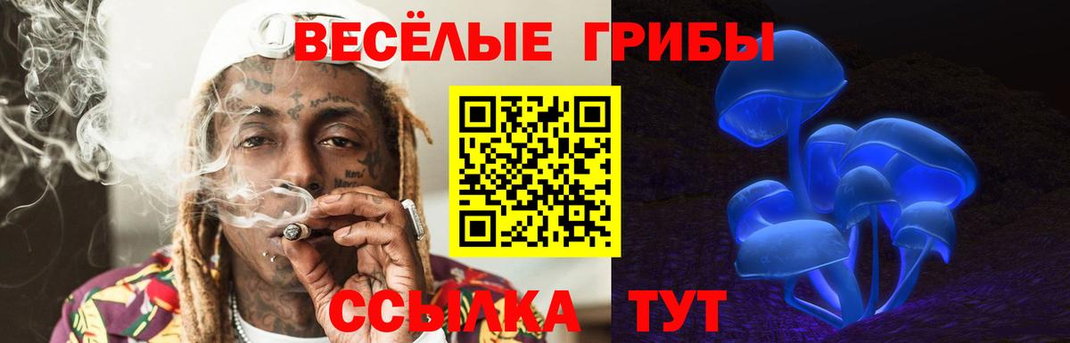 Псилоцибиновые грибы Psilocybine cubensis Чехов